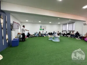 Sistema de Refrigeração para barcos e Projetos, Decoração e Organização.